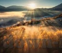 足球比分显示屏-足球比分显示屏，绿茵场上的数字心跳